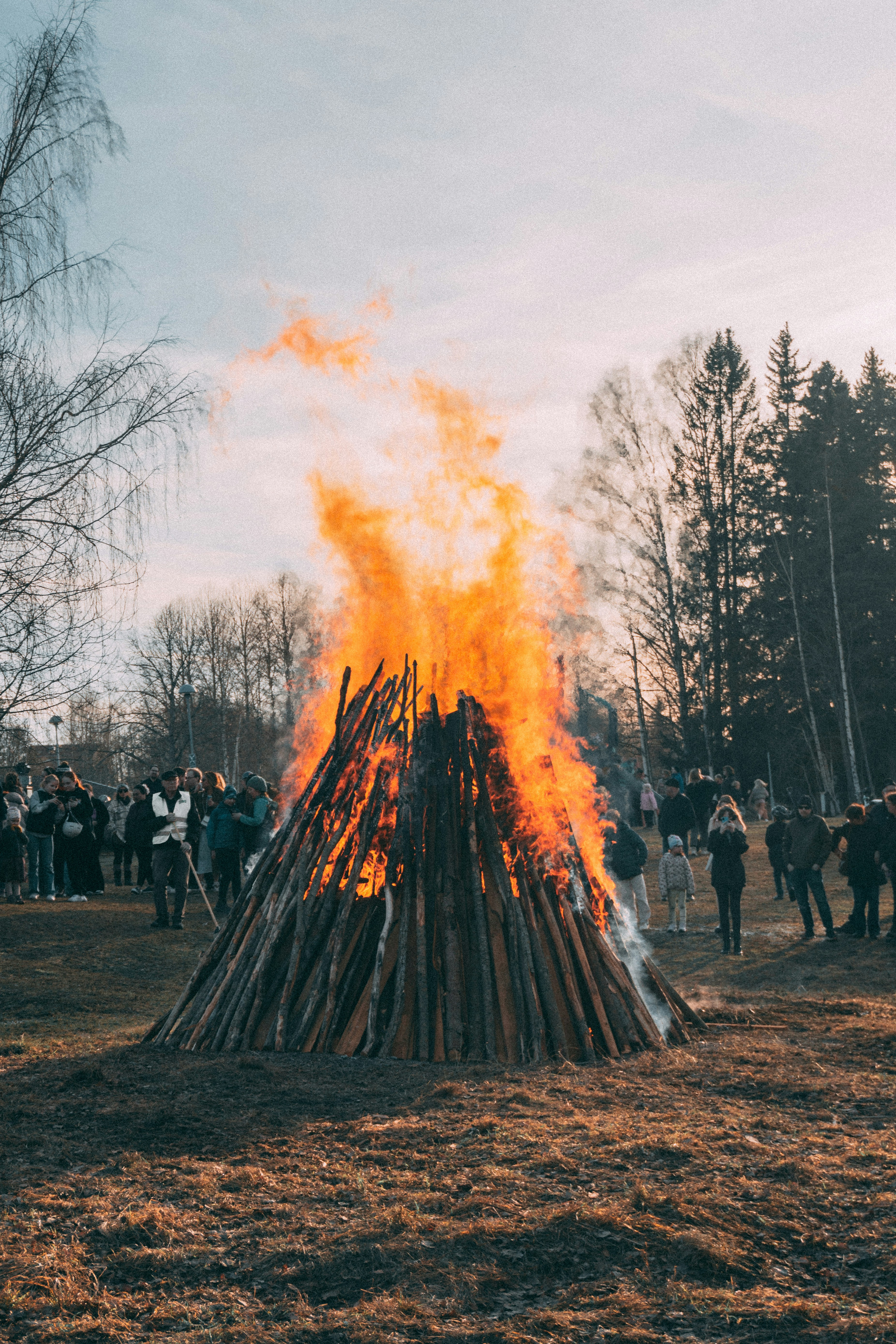 article_img