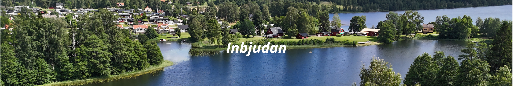 article_img